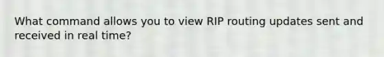 What command allows you to view RIP routing updates sent and received in real time?