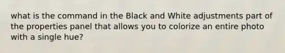 what is the command in the Black and White adjustments part of the properties panel that allows you to colorize an entire photo with a single hue?