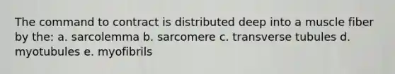 The command to contract is distributed deep into a muscle fiber by the: a. sarcolemma b. sarcomere c. transverse tubules d. myotubules e. myofibrils