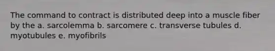 The command to contract is distributed deep into a muscle fiber by the a. sarcolemma b. sarcomere c. transverse tubules d. myotubules e. myofibrils