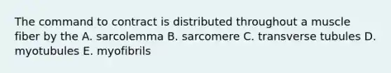 The command to contract is distributed throughout a muscle fiber by the A. sarcolemma B. sarcomere C. transverse tubules D. myotubules E. myofibrils