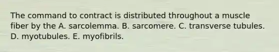 The command to contract is distributed throughout a muscle fiber by the A. sarcolemma. B. sarcomere. C. transverse tubules. D. myotubules. E. myofibrils.