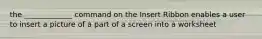 the _____________ command on the Insert Ribbon enables a user to insert a picture of a part of a screen into a worksheet