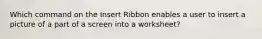 Which command on the Insert Ribbon enables a user to insert a picture of a part of a screen into a worksheet?