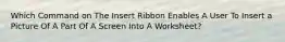 Which Command on The Insert Ribbon Enables A User To Insert a Picture Of A Part Of A Screen Into A Worksheet?