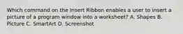 Which command on the Insert Ribbon enables a user to insert a picture of a program window into a worksheet? A. Shapes B. Picture C. SmartArt D. Screenshot