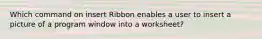 Which command on insert Ribbon enables a user to insert a picture of a program window into a worksheet?