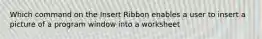 Which command on the Insert Ribbon enables a user to insert a picture of a program window into a worksheet