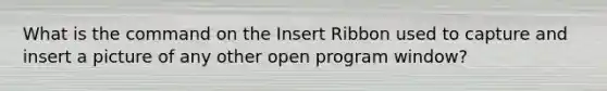 What is the command on the Insert Ribbon used to capture and insert a picture of any other open program window?