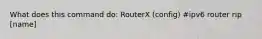 What does this command do: RouterX (config) #ipv6 router rip [name]