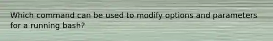 Which command can be used to modify options and parameters for a running bash?