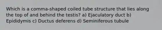 Which is a comma-shaped coiled tube structure that lies along the top of and behind the testis? a) Ejaculatory duct b) Epididymis c) Ductus deferens d) Seminiferous tubule