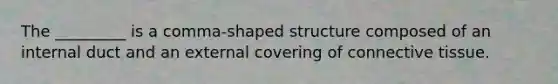 The _________ is a comma-shaped structure composed of an internal duct and an external covering of connective tissue.