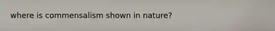 where is commensalism shown in nature?