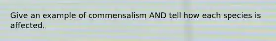 Give an example of commensalism AND tell how each species is affected.