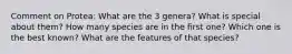 Comment on Protea: What are the 3 genera? What is special about them? How many species are in the first one? Which one is the best known? What are the features of that species?