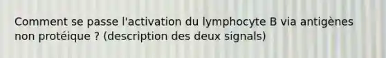 Comment se passe l'activation du lymphocyte B via antigènes non protéique ? (description des deux signals)