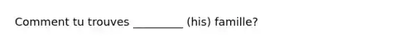 Comment tu trouves _________ (his) famille?