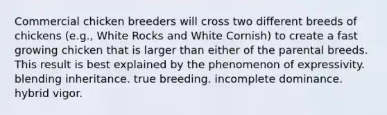 Commercial chicken breeders will cross two different breeds of chickens (e.g., White Rocks and White Cornish) to create a fast growing chicken that is larger than either of the parental breeds. This result is best explained by the phenomenon of expressivity. blending inheritance. true breeding. incomplete dominance. hybrid vigor.