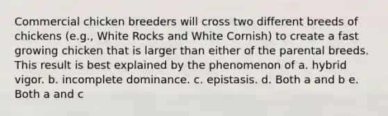 Commercial chicken breeders will cross two different breeds of chickens (e.g., White Rocks and White Cornish) to create a fast growing chicken that is larger than either of the parental breeds. This result is best explained by the phenomenon of a. hybrid vigor. b. incomplete dominance. c. epistasis. d. Both a and b e. Both a and c