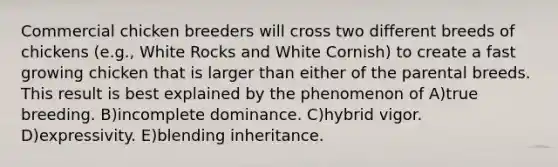 Commercial chicken breeders will cross two different breeds of chickens (e.g., White Rocks and White Cornish) to create a fast growing chicken that is larger than either of the parental breeds. This result is best explained by the phenomenon of A)true breeding. B)incomplete dominance. C)hybrid vigor. D)expressivity. E)blending inheritance.