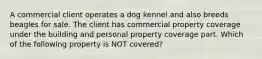 A commercial client operates a dog kennel and also breeds beagles for sale. The client has commercial property coverage under the building and personal property coverage part. Which of the following property is NOT covered?