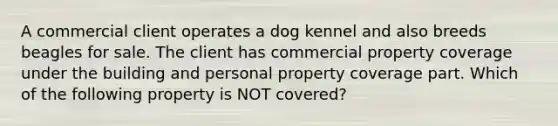 A commercial client operates a dog kennel and also breeds beagles for sale. The client has commercial property coverage under the building and personal property coverage part. Which of the following property is NOT covered?