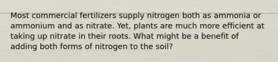 Most commercial fertilizers supply nitrogen both as ammonia or ammonium and as nitrate. Yet, plants are much more efficient at taking up nitrate in their roots. What might be a benefit of adding both forms of nitrogen to the soil?