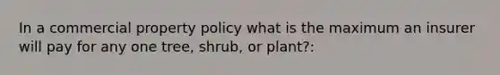 In a commercial property policy what is the maximum an insurer will pay for any one tree, shrub, or plant?: