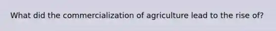 What did the commercialization of agriculture lead to the rise of?