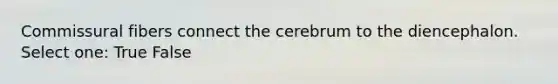 Commissural fibers connect the cerebrum to the diencephalon. Select one: True False