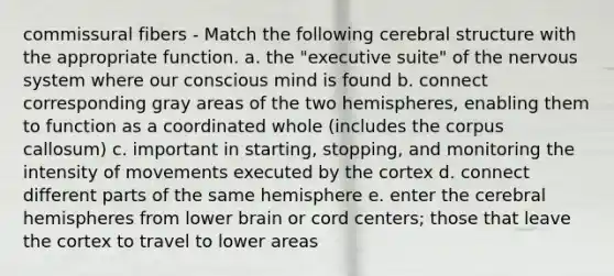 commissural fibers - Match the following cerebral structure with the appropriate function. a. the "executive suite" of the nervous system where our conscious mind is found b. connect corresponding gray areas of the two hemispheres, enabling them to function as a coordinated whole (includes the corpus callosum) c. important in starting, stopping, and monitoring the intensity of movements executed by the cortex d. connect different parts of the same hemisphere e. enter the cerebral hemispheres from lower brain or cord centers; those that leave the cortex to travel to lower areas