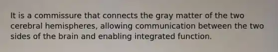 It is a commissure that connects the gray matter of the two cerebral hemispheres, allowing communication between the two sides of the brain and enabling integrated function.