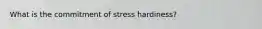 What is the commitment of stress hardiness?