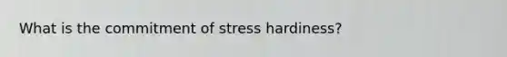 What is the commitment of stress hardiness?