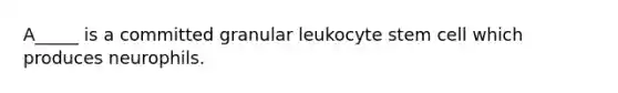 A_____ is a committed granular leukocyte stem cell which produces neurophils.