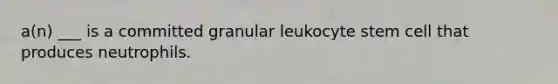 a(n) ___ is a committed granular leukocyte stem cell that produces neutrophils.