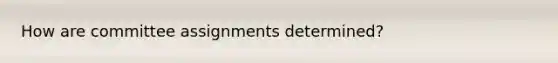 How are committee assignments determined?