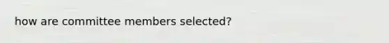 how are committee members selected?