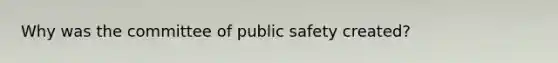 Why was the committee of public safety created?