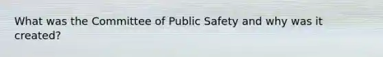 What was the Committee of Public Safety and why was it created?