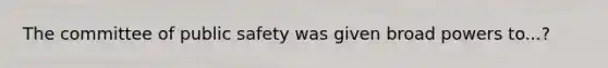 The committee of public safety was given broad powers to...?