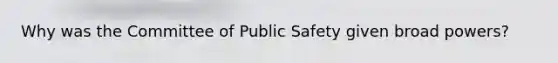 Why was the Committee of Public Safety given broad powers?