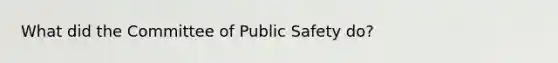 What did the Committee of Public Safety do?