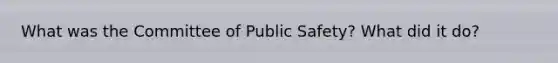 What was the Committee of Public Safety? What did it do?