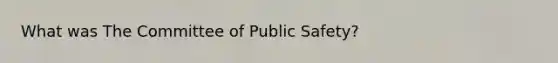 What was The Committee of Public Safety?