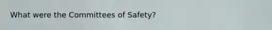 What were the Committees of Safety?