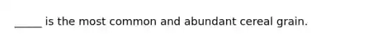 _____ is the most common and abundant cereal grain.