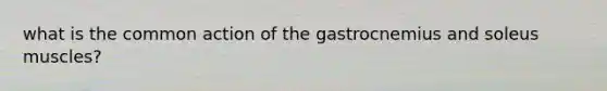 what is the common action of the gastrocnemius and soleus muscles?