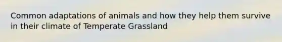 Common adaptations of animals and how they help them survive in their climate of Temperate Grassland